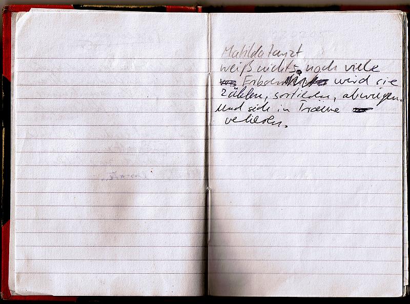 blackredbook (31)